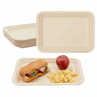 biodegradable / Sugarcane plate from disposablesInc.com. The best import service in China. Import your disposable items and products from us.